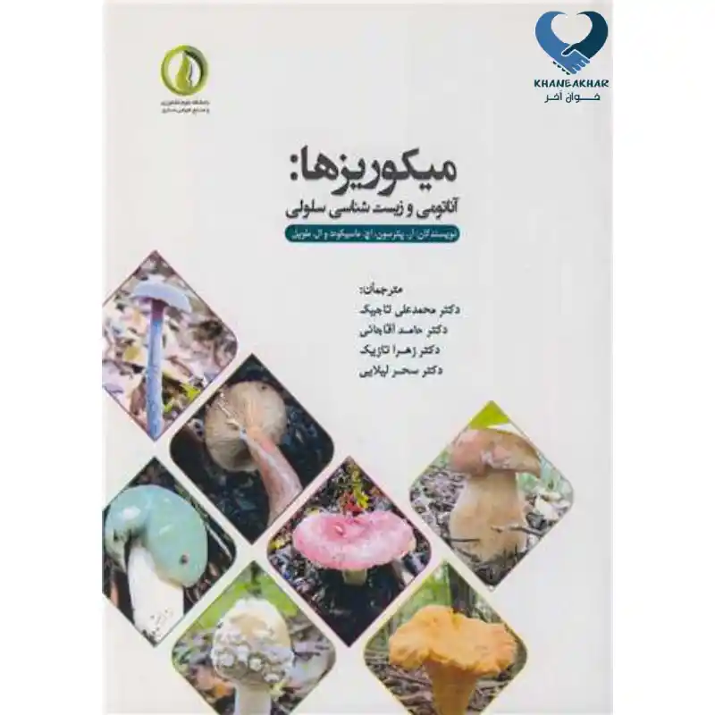 New Project - 2024-09-14T144323.373 میکوریز ها: آناتومی و زیست شناسی سلولی